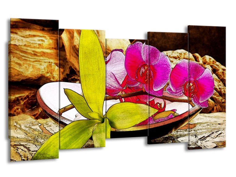 Canvas schilderij Orchidee | Paars, Groen, Bruin | 150x80cm 5Luik