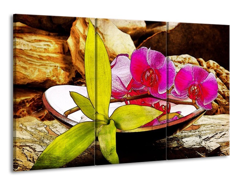 Canvas schilderij Orchidee | Paars, Groen, Bruin | 165x100cm 3Luik