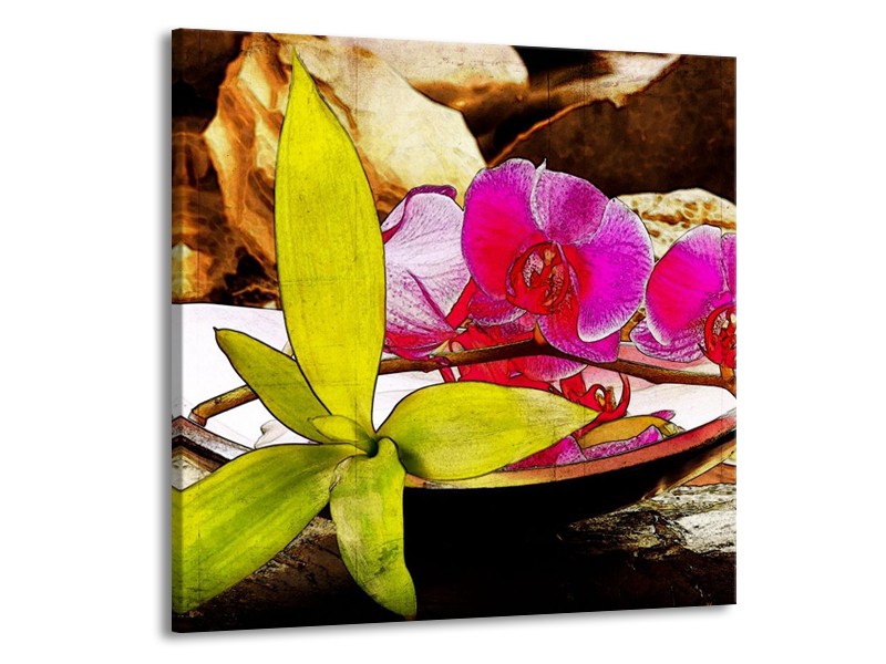 Canvas schilderij Orchidee | Paars, Groen, Bruin | 50x50cm 1Luik