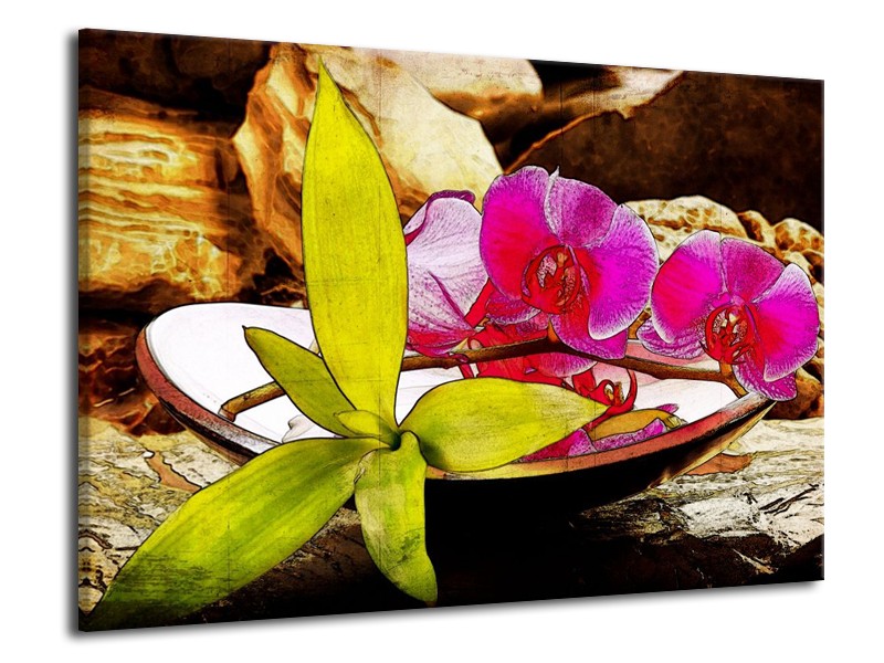 Canvas schilderij Orchidee | Paars, Groen, Bruin | 70x50cm 1Luik