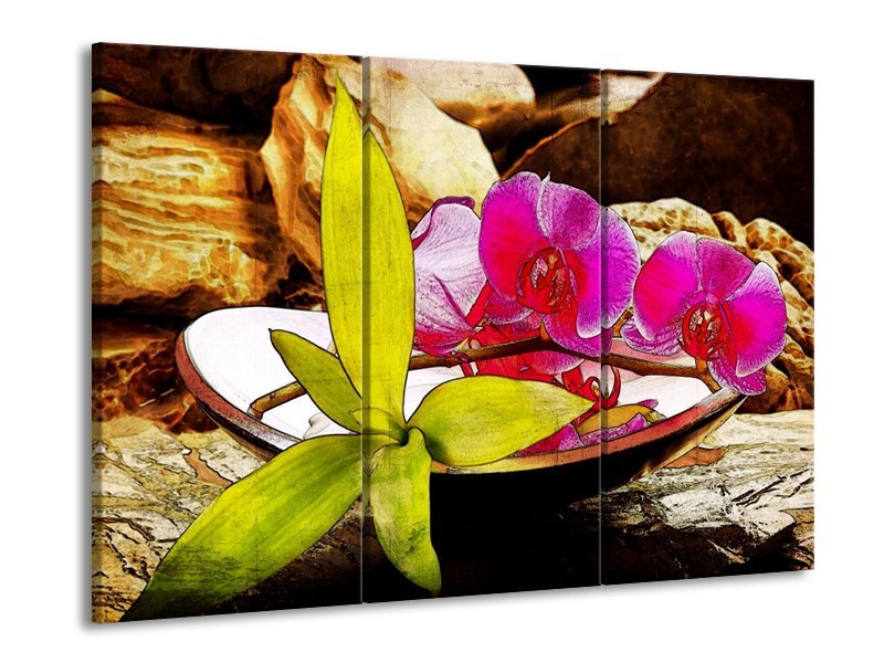 Glas schilderij Orchidee | Paars, Groen, Bruin | 90x60cm 3Luik