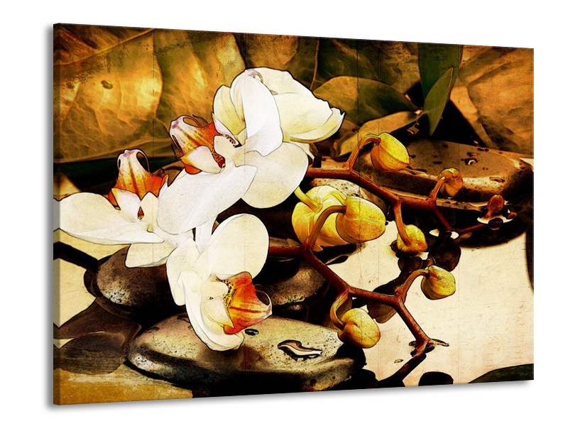 Canvas schilderij Orchidee | Bruin, Wit, Groen | 100x70cm 1Luik