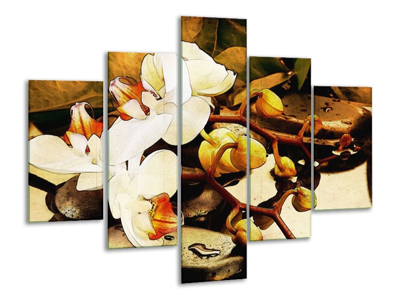 Glas schilderij Orchidee | Bruin, Wit, Groen | 100x70cm 5Luik
