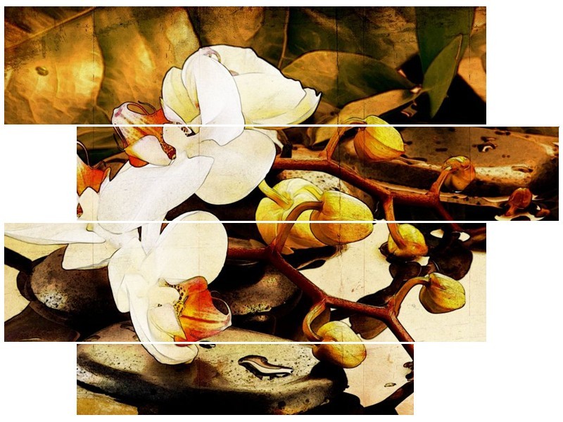 Canvas schilderij Orchidee | Bruin, Wit, Groen | 115x85cm 4Luik