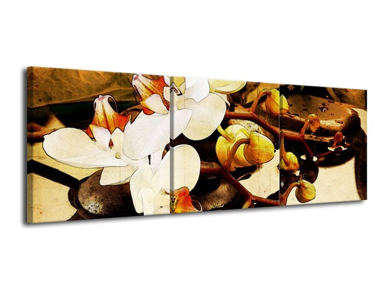 Canvas schilderij Orchidee | Bruin, Wit, Groen | 120x40cm 3Luik