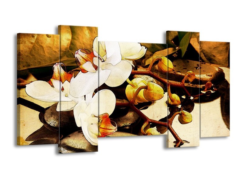 Canvas schilderij Orchidee | Bruin, Wit, Groen | 120x65 5Luik