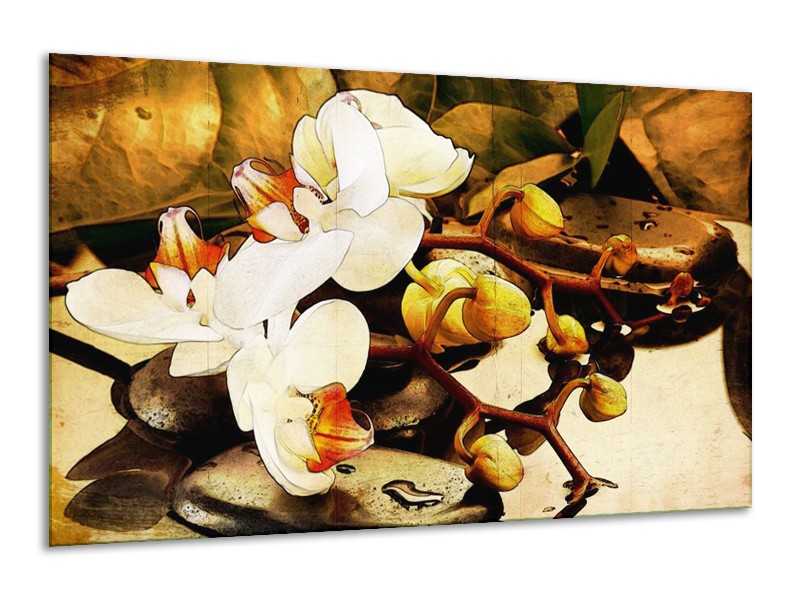 Glas schilderij Orchidee | Bruin, Wit, Groen | 120x70cm 1Luik