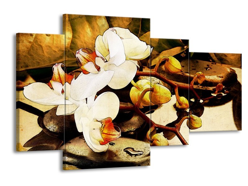Glas schilderij Orchidee | Bruin, Wit, Groen | 120x75cm 4Luik