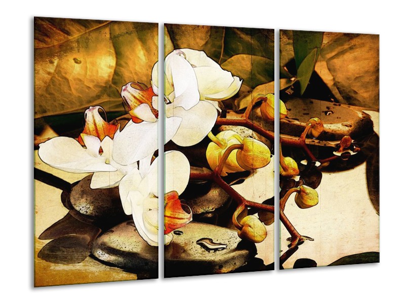 Glas schilderij Orchidee | Bruin, Wit, Groen | 120x80cm 3Luik