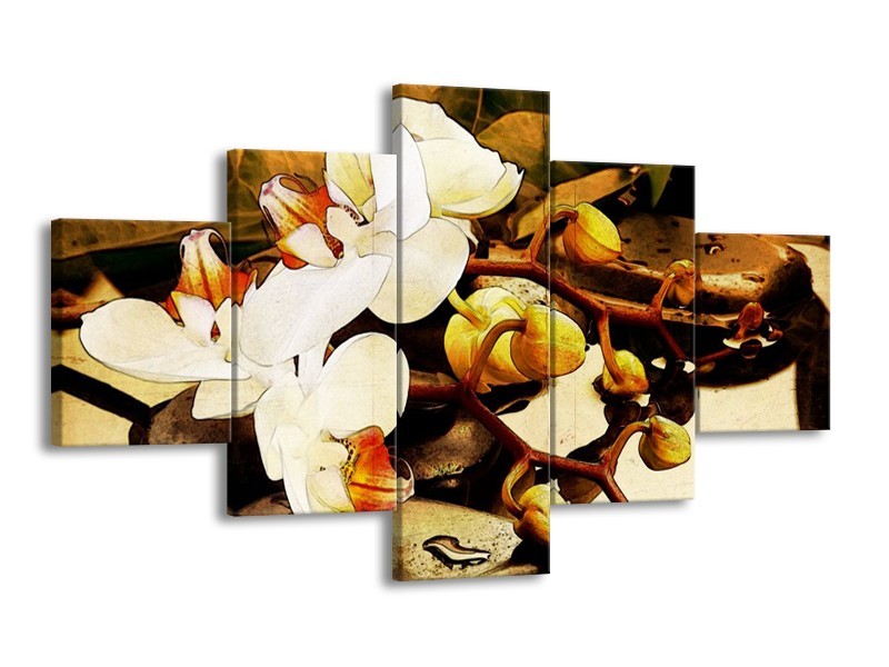 Canvas schilderij Orchidee | Bruin, Wit, Groen | 125x70cm 5Luik