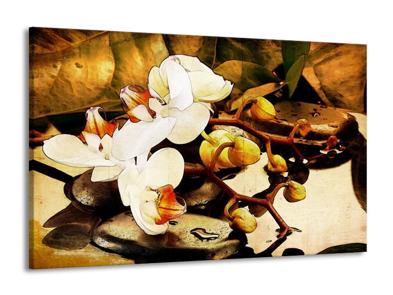 Canvas schilderij Orchidee | Bruin, Wit, Groen | 140x90cm 1Luik
