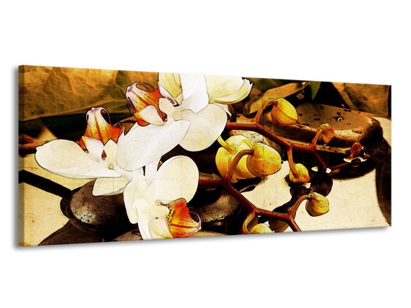 Glas schilderij Orchidee | Bruin, Wit, Groen | 145x58cm 1Luik