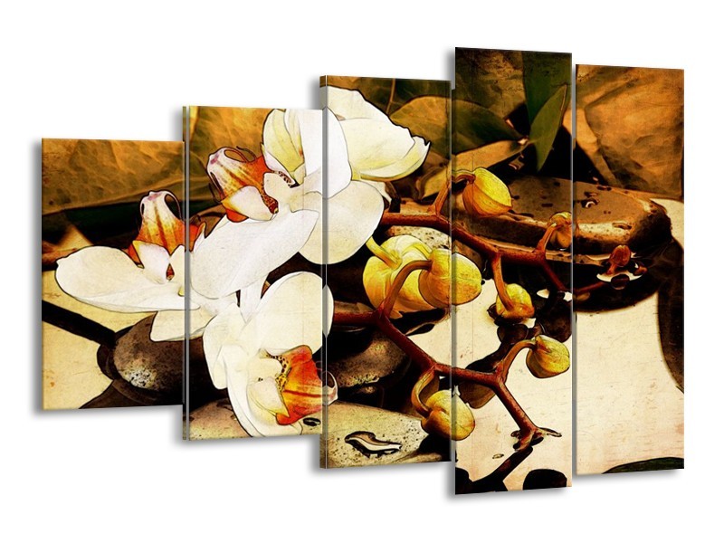 Glas schilderij Orchidee | Bruin, Wit, Groen | 150x100cm 5Luik