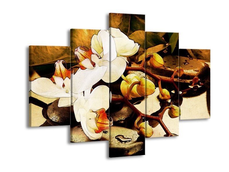 Canvas schilderij Orchidee | Bruin, Wit, Groen | 150x105cm 5Luik