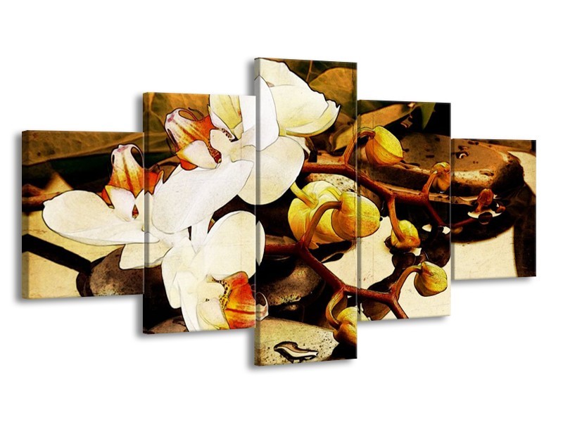 Canvas schilderij Orchidee | Bruin, Wit, Groen | 150x80cm 5Luik