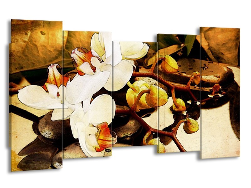 Canvas schilderij Orchidee | Bruin, Wit, Groen | 150x80cm 5Luik