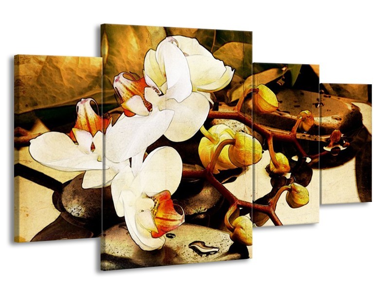 Glas schilderij Orchidee | Bruin, Wit, Groen | 160x90cm 4Luik