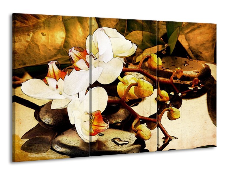 Canvas schilderij Orchidee | Bruin, Wit, Groen | 165x100cm 3Luik
