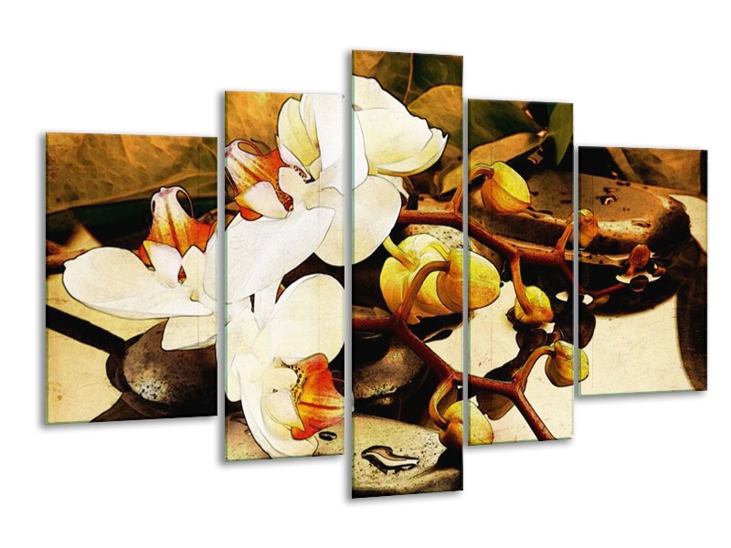 Canvas schilderij Orchidee | Bruin, Wit, Groen | 170x100cm 5Luik