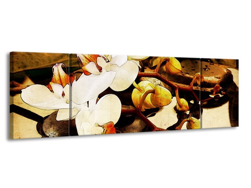 Canvas schilderij Orchidee | Bruin, Wit, Groen | 170x50cm 3Luik