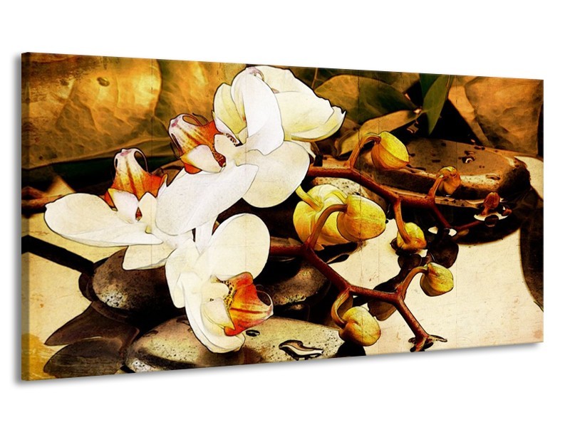 Canvas schilderij Orchidee | Bruin, Wit, Groen | 170x90cm 1Luik