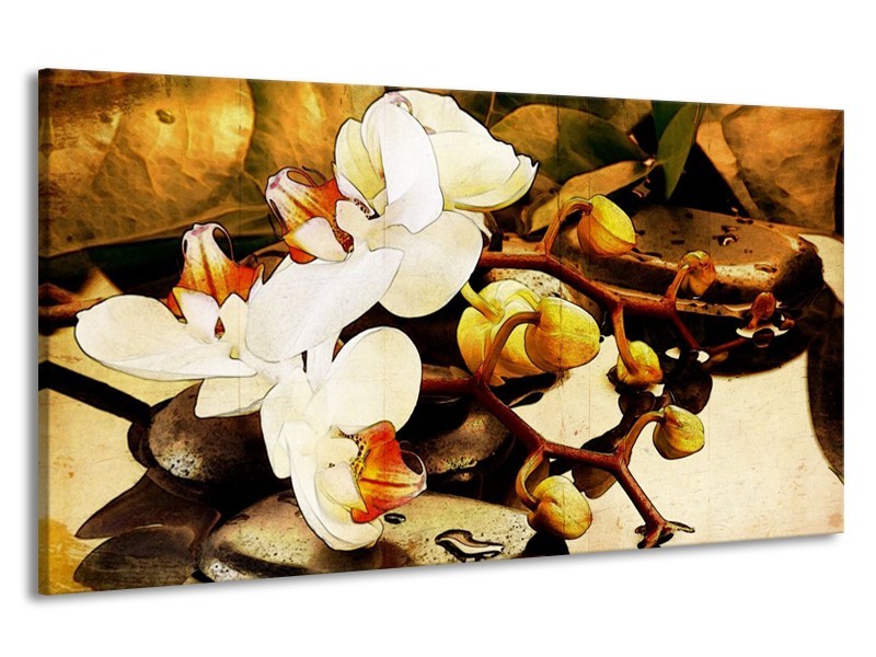 Canvas schilderij Orchidee | Bruin, Wit, Groen | 190x100cm 1Luik