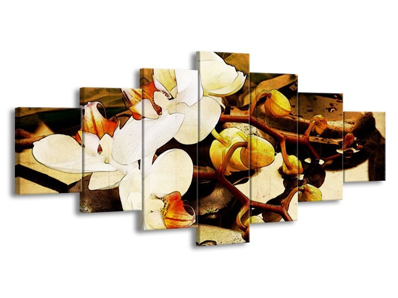 Canvas schilderij Orchidee | Bruin, Wit, Groen | 210x100cm 7Luik