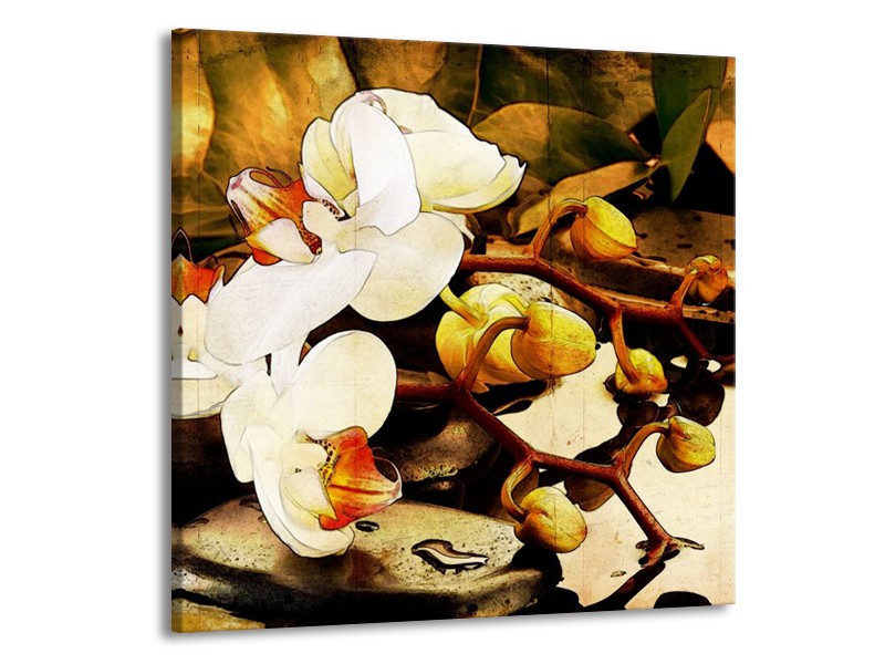Canvas schilderij Orchidee | Bruin, Wit, Groen | 50x50cm 1Luik