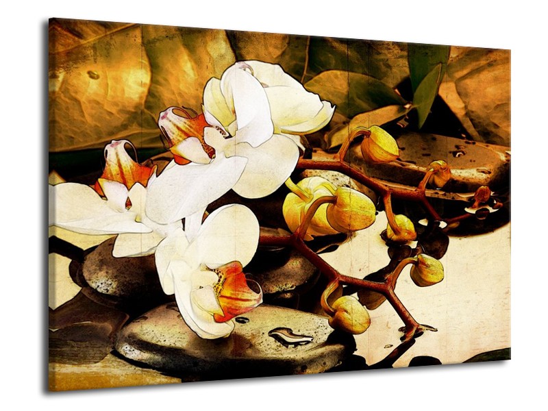 Canvas schilderij Orchidee | Bruin, Wit, Groen | 70x50cm 1Luik