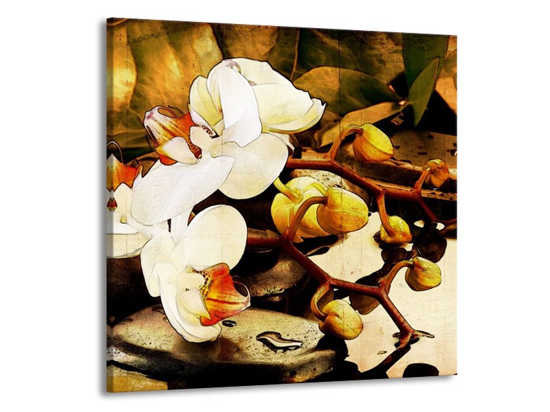 Canvas schilderij Orchidee | Bruin, Wit, Groen | 70x70cm 1Luik