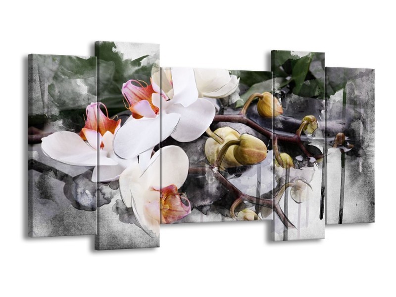 Canvas schilderij Orchidee | Wit, Grijs | 120x65 5Luik