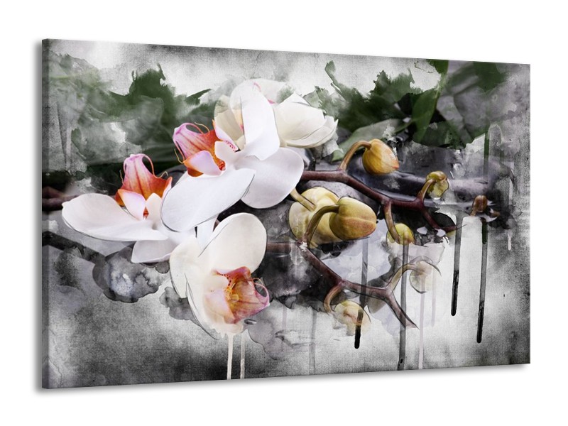 Canvas schilderij Orchidee | Wit, Grijs | 140x90cm 1Luik