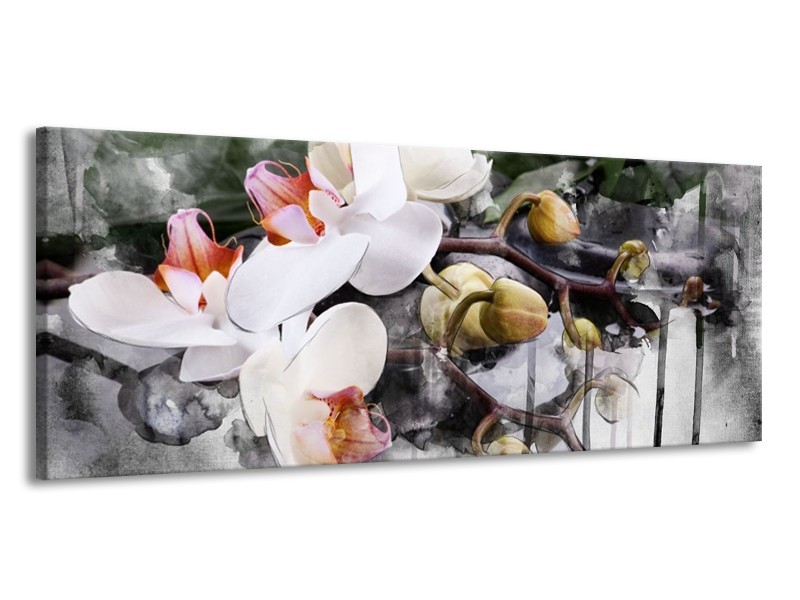 Canvas schilderij Orchidee | Wit, Grijs | 145x58cm 1Luik