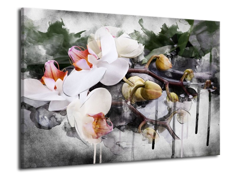 Canvas schilderij Orchidee | Wit, Grijs | 70x50cm 1Luik