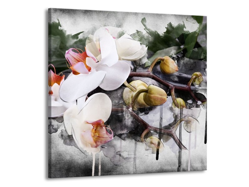 Canvas schilderij Orchidee | Wit, Grijs | 70x70cm 1Luik