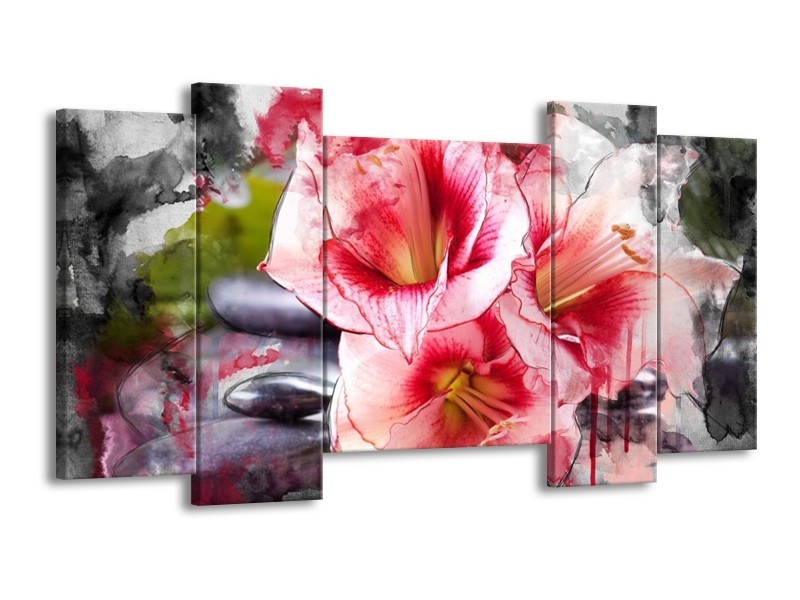 Canvas schilderij Bloem | Rood, Wit, Grijs | 120x65 5Luik