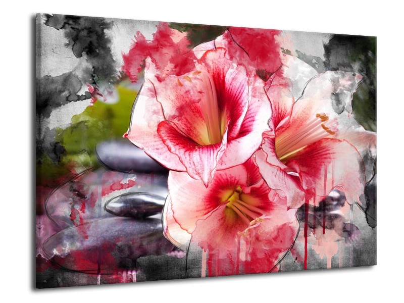 Canvas schilderij Bloem | Rood, Wit, Grijs | 70x50cm 1Luik