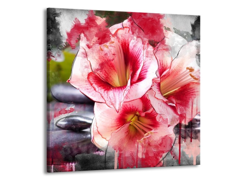 Canvas schilderij Bloem | Rood, Wit, Grijs | 70x70cm 1Luik