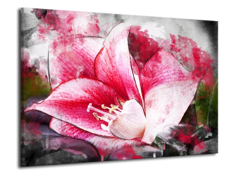 Canvas schilderij Bloem | Roze, Wit, Grijs | 70x50cm 1Luik