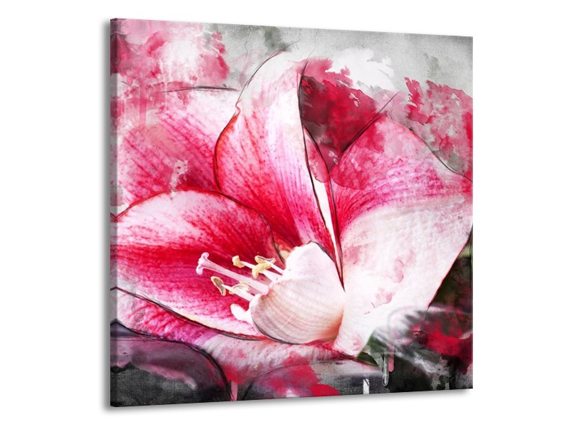 Canvas schilderij Bloem | Roze, Wit, Grijs | 70x70cm 1Luik