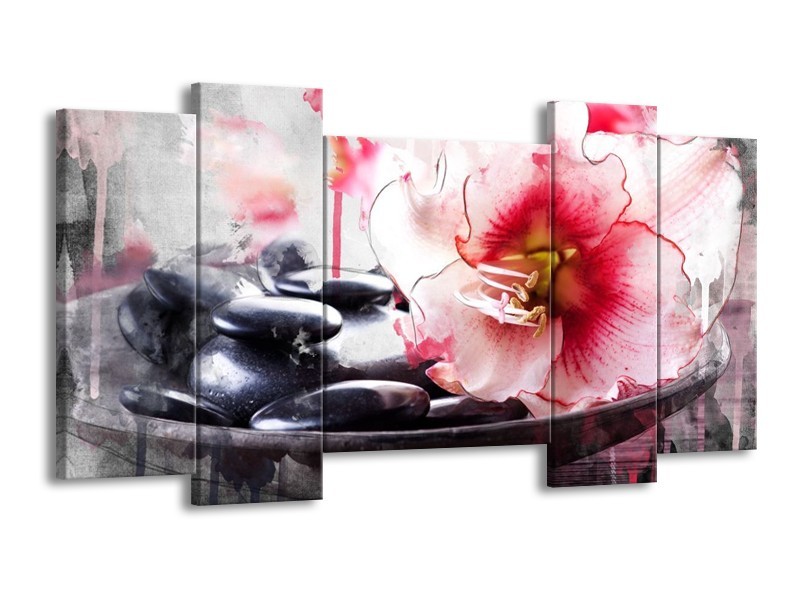 Canvas schilderij Bloem | Rood, Grijs, Wit | 120x65 5Luik