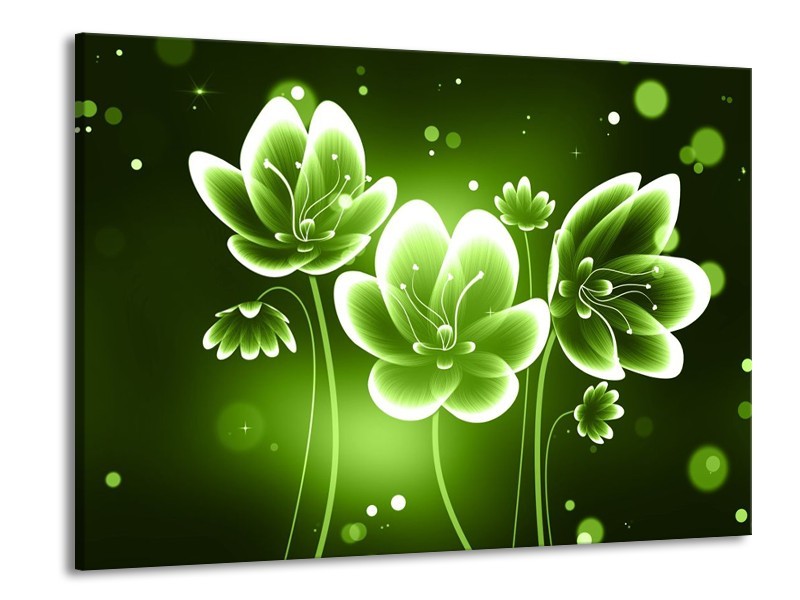 Glas schilderij Bloem | Groen, Wit | 100x70cm 1Luik