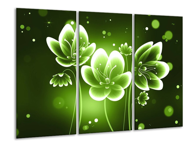 Canvas schilderij Bloem | Groen, Wit | 120x80cm 3Luik