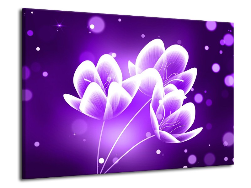 Canvas schilderij Bloem | Paars, Blauw, Wit | 70x50cm 1Luik