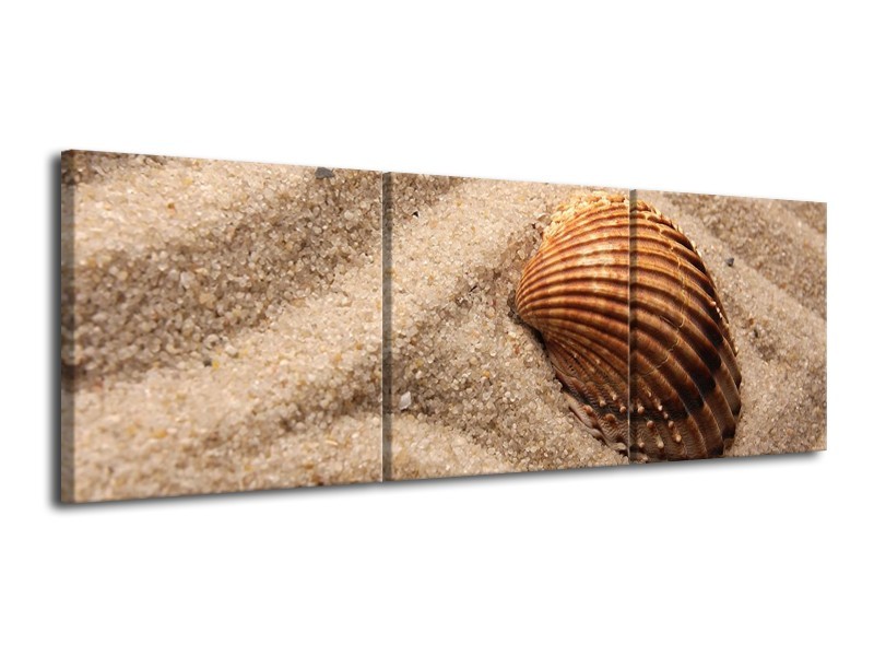 Canvas schilderij Zand | Bruin | 120x40cm 3Luik