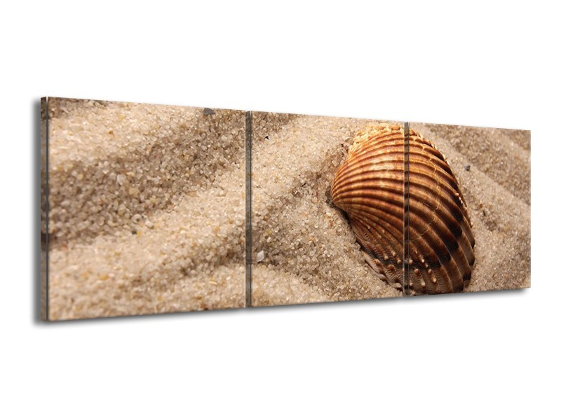 Canvas schilderij Zand | Bruin | 150x50cm 3Luik
