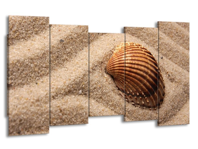 Canvas schilderij Zand | Bruin | 150x80cm 5Luik