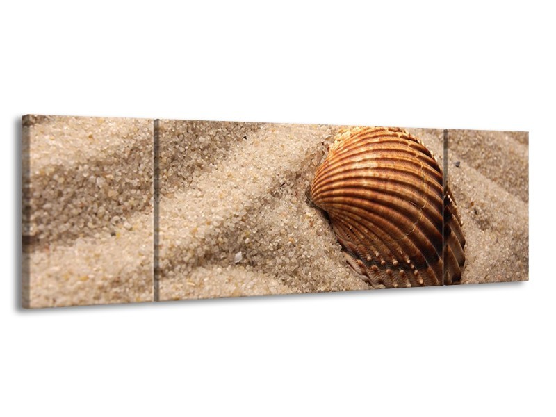 Canvas schilderij Zand | Bruin | 170x50cm 3Luik