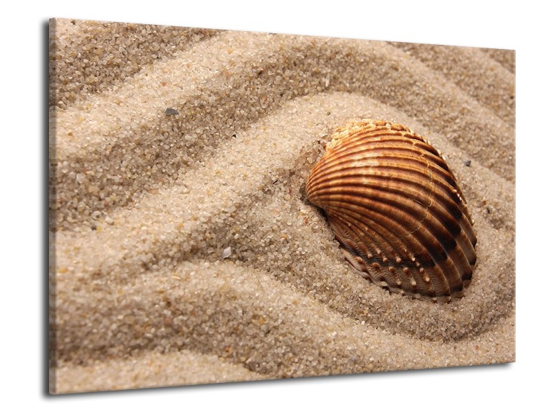 Canvas schilderij Zand | Bruin | 70x50cm 1Luik