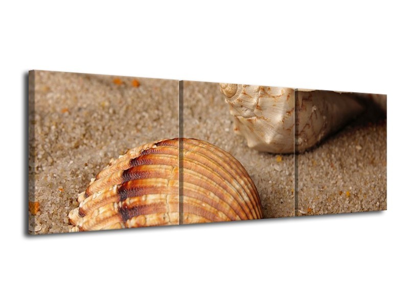 Canvas schilderij Zand | Bruin, Crème | 120x40cm 3Luik